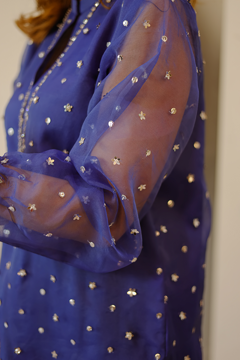 3 Piece – Top & Bottom  Fabric:  Shirt: Organza  Culottes 36