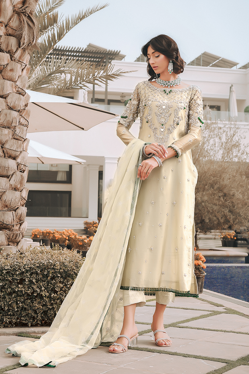 Step into elegance with SANIA's exquisite tissue shirt - Reema Ahsan