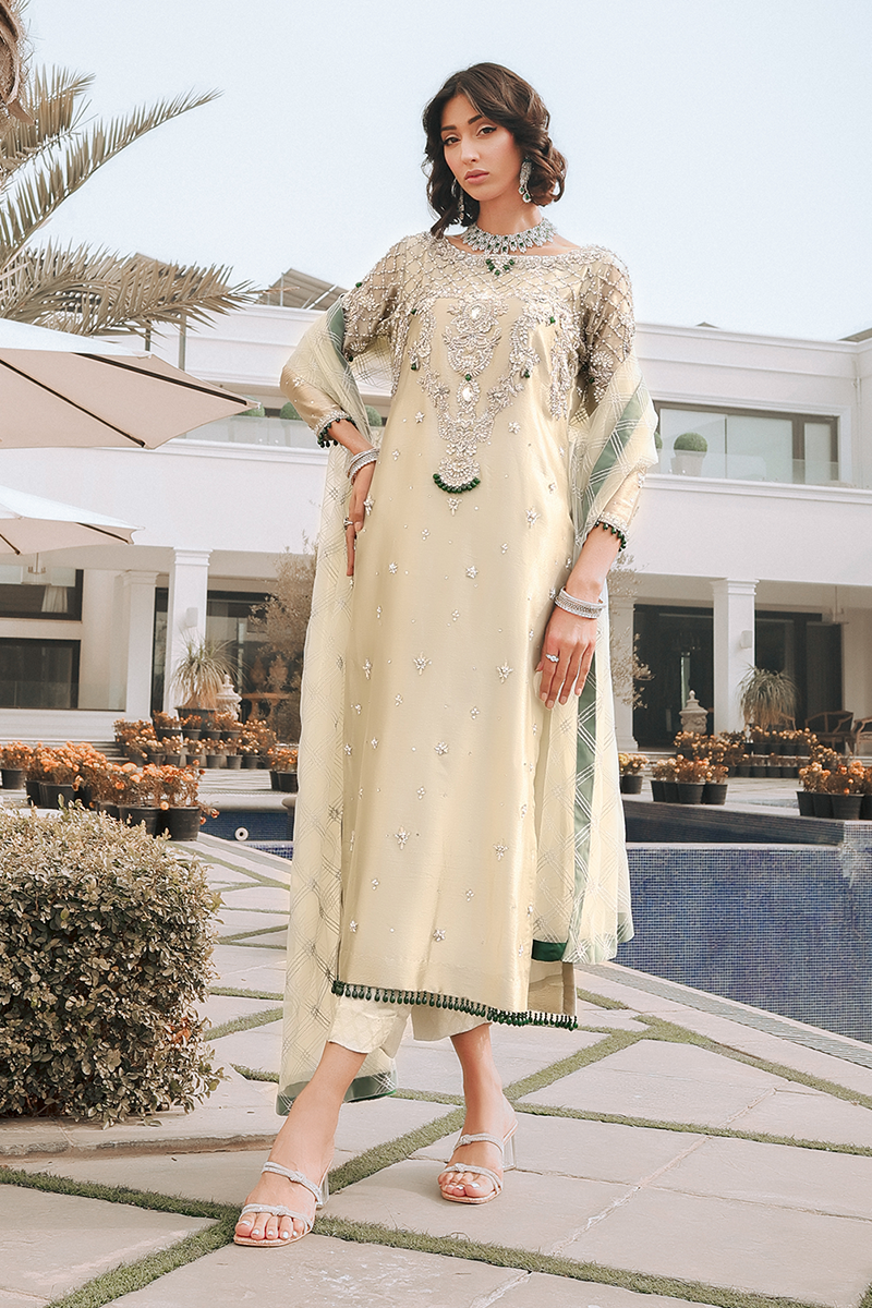 Step into elegance with SANIA's exquisite tissue shirt - Reema Ahsan 4