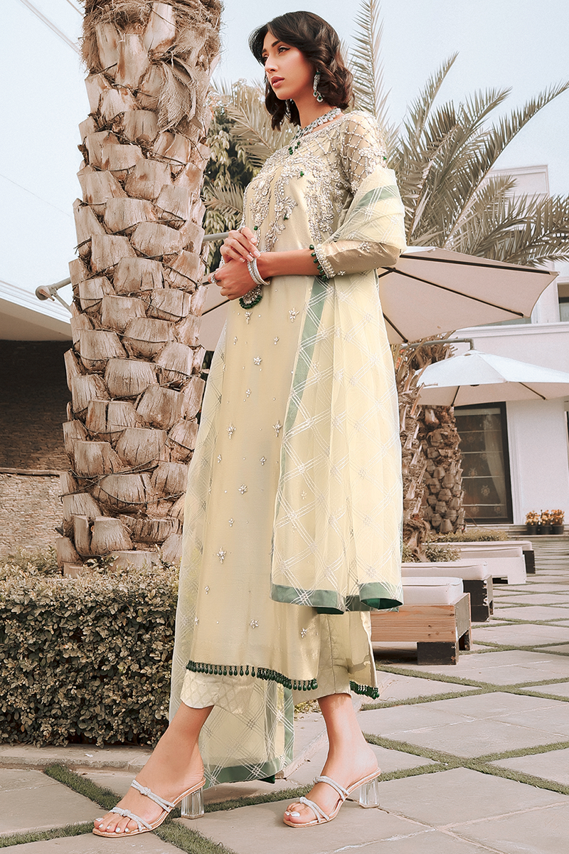 Step into elegance with SANIA's exquisite tissue shirt - Reema Ahsan 4